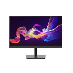 MONITOR IPS FHD 24 INCH